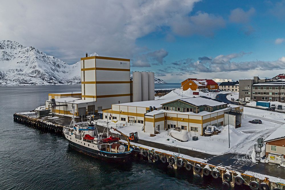 Hafen von OKSFJORD /Finnmark/NOR)