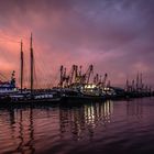 Hafen von Oudeschild bei Abenddämmmerung