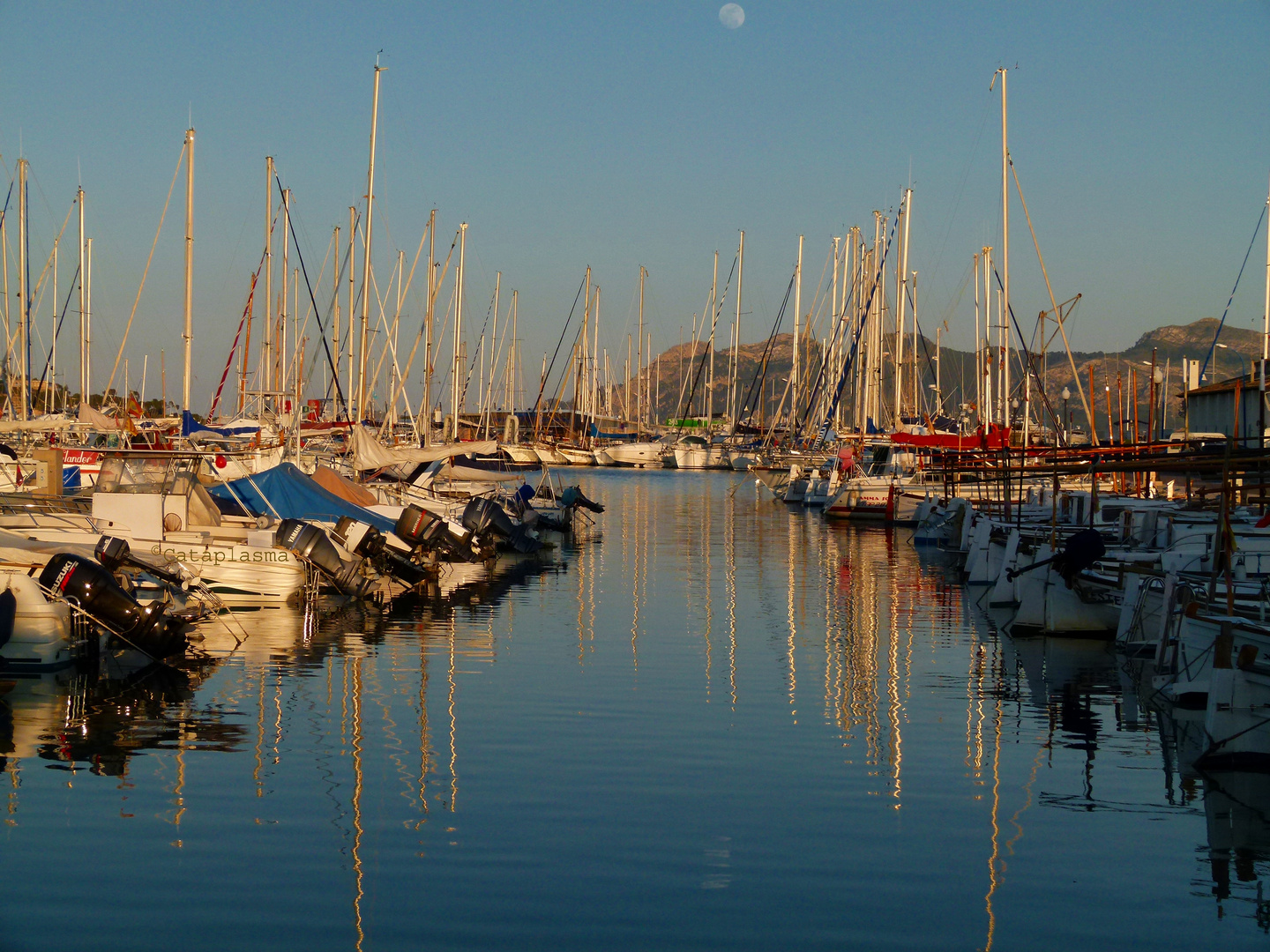 Hafen von Pollenca auf Mallorca