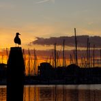 Hafen von Port Zelande