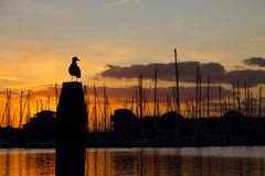 Hafen von Port Zelande