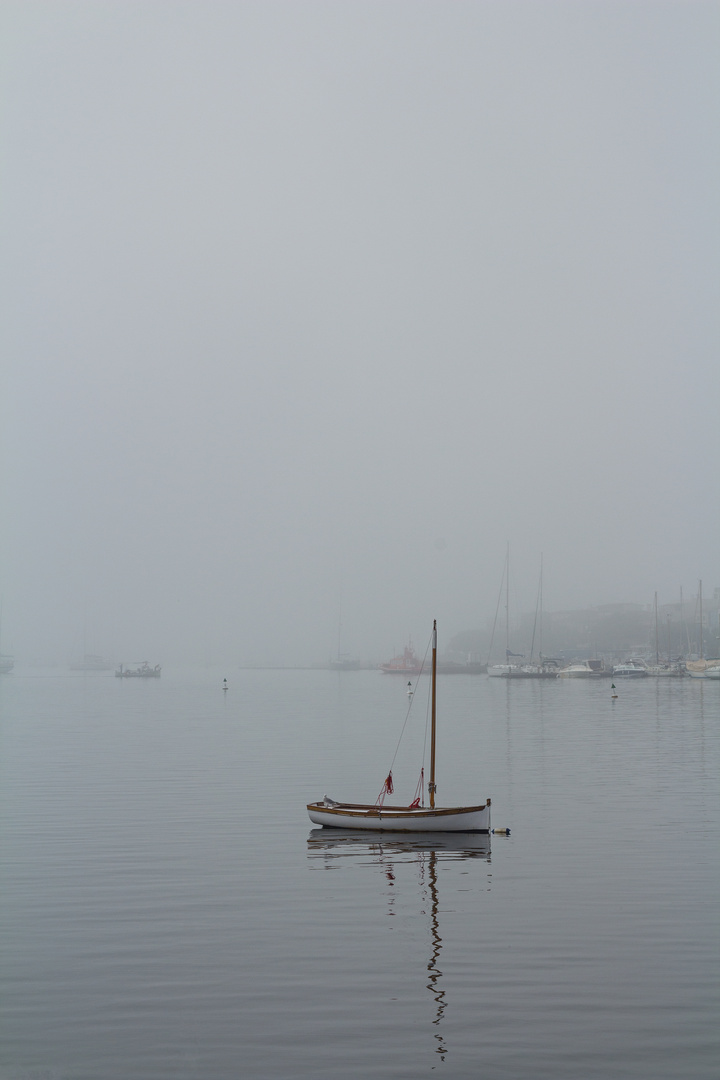 Hafen von Portocolom