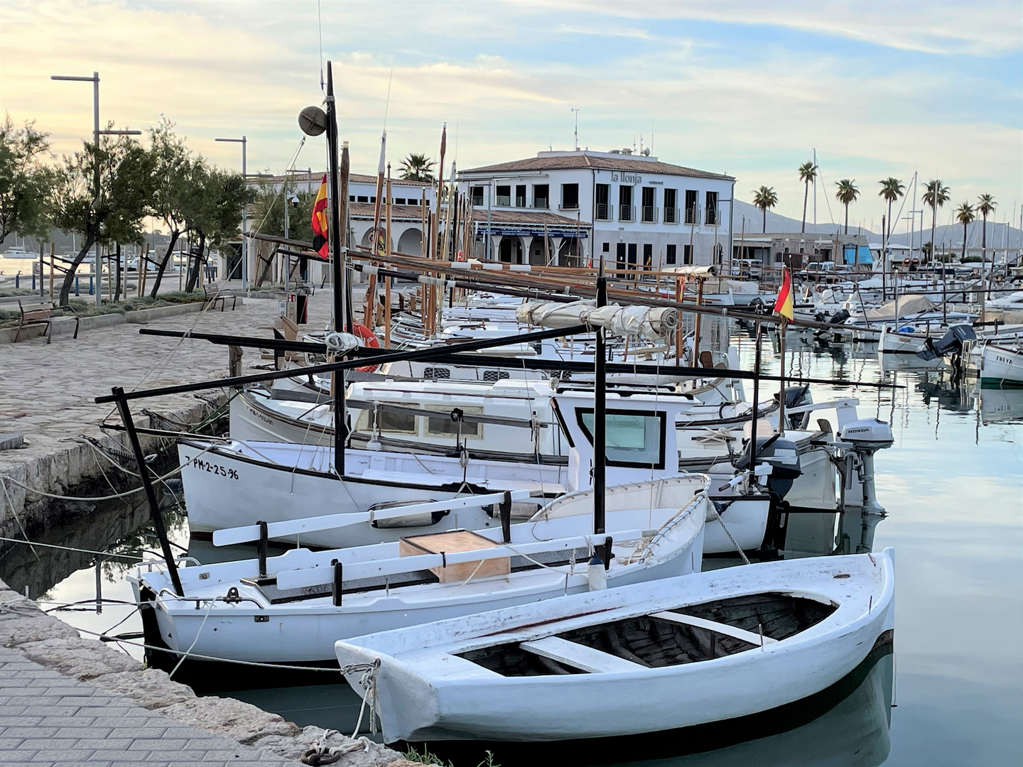 Hafen von Puerto Pollensa 16.05.2021