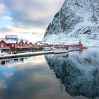 Hafen von Reine - Moskenes/Lofoten 4