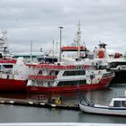 Hafen von Reykjavik