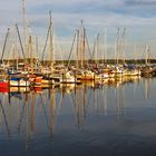 Hafen von Schleswig