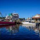 Hafen von Strahan, Tasmanien