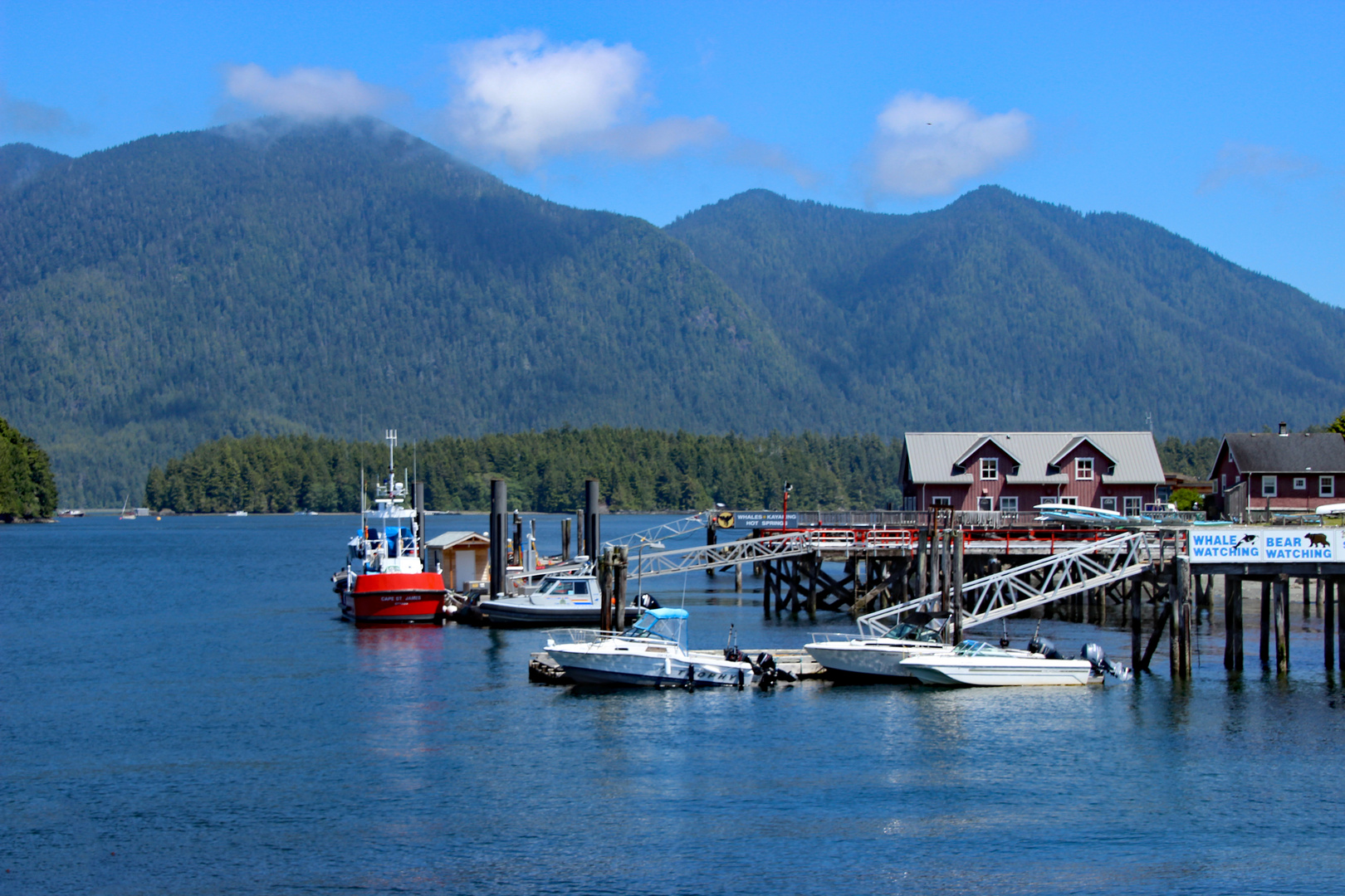 Hafen von Tofino