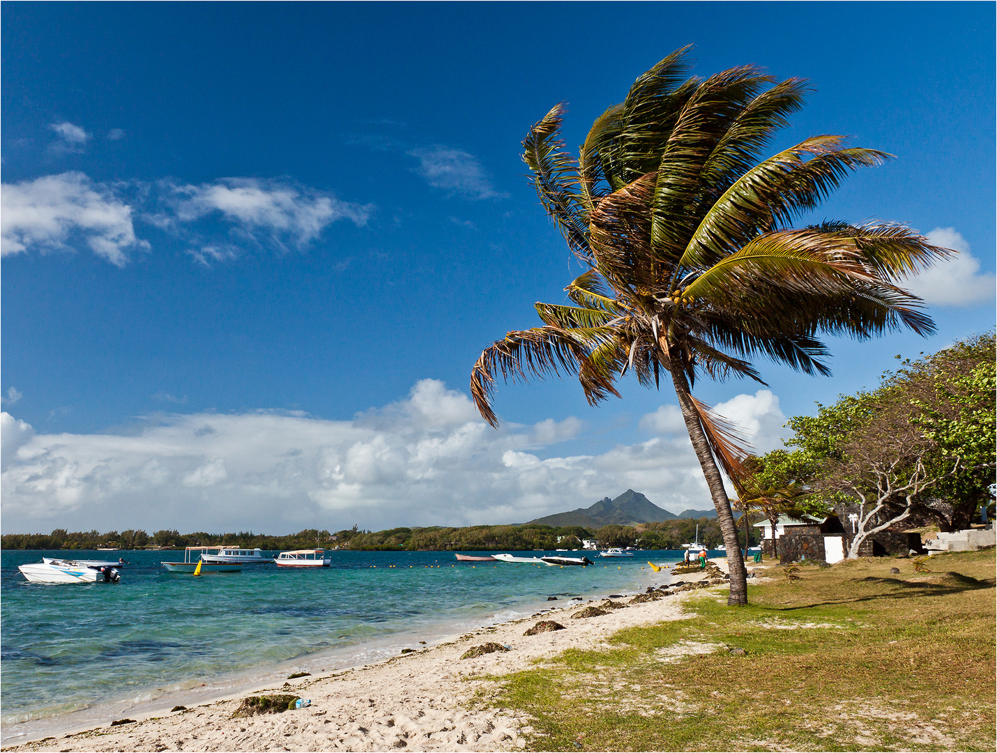 Hafen von Trou d'Eau Douce, Mauritius