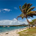 Hafen von Trou d'Eau Douce, Mauritius