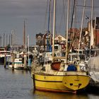 Hafen von Urk