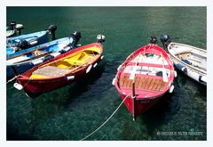 Hafen von Vernazza