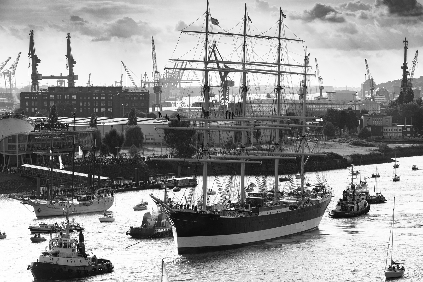 Hafen wie in alten Zeiten - Einlauf der "Peking"