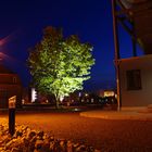 Hafen Wismar bei Nacht