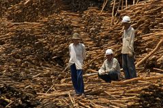 Hafenarbeiter am Mekong (1)