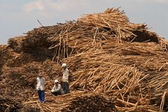 Hafenarbeiter am Mekong (2)