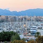 Hafenblick_Palma de Mallorca