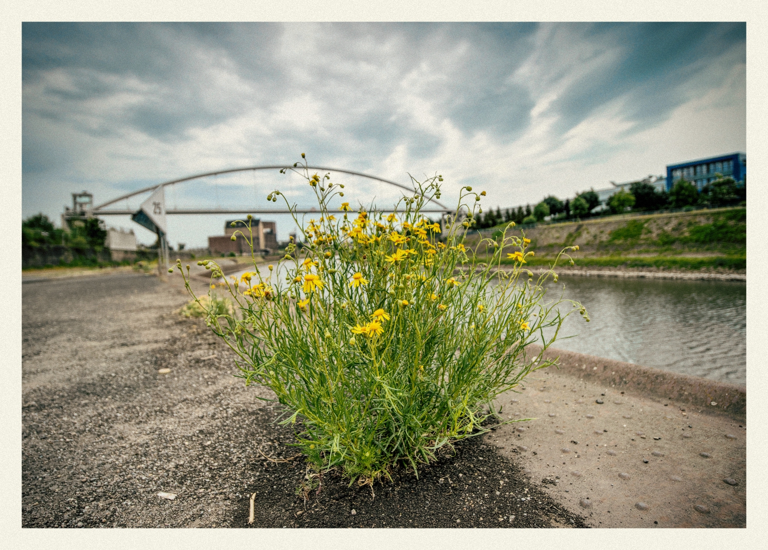 Hafenbrücke im Sommer