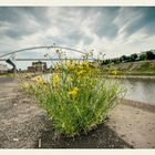 Hafenbrücke im Sommer