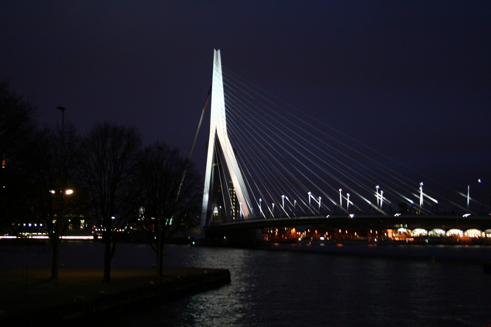 Hafenbrücke Rotterdam