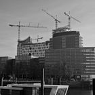 hafencity in black and white 2