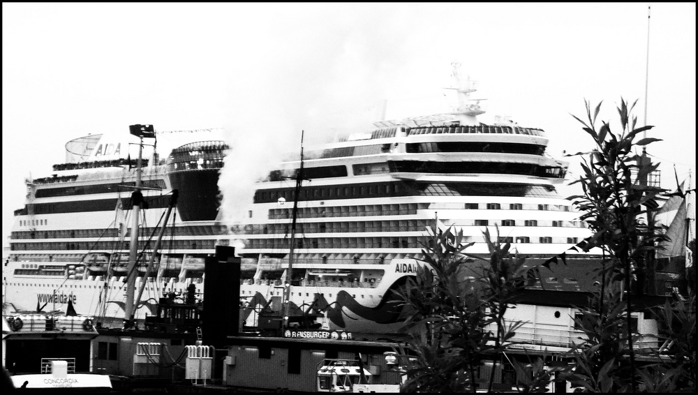 Hafengeburtstag 2010