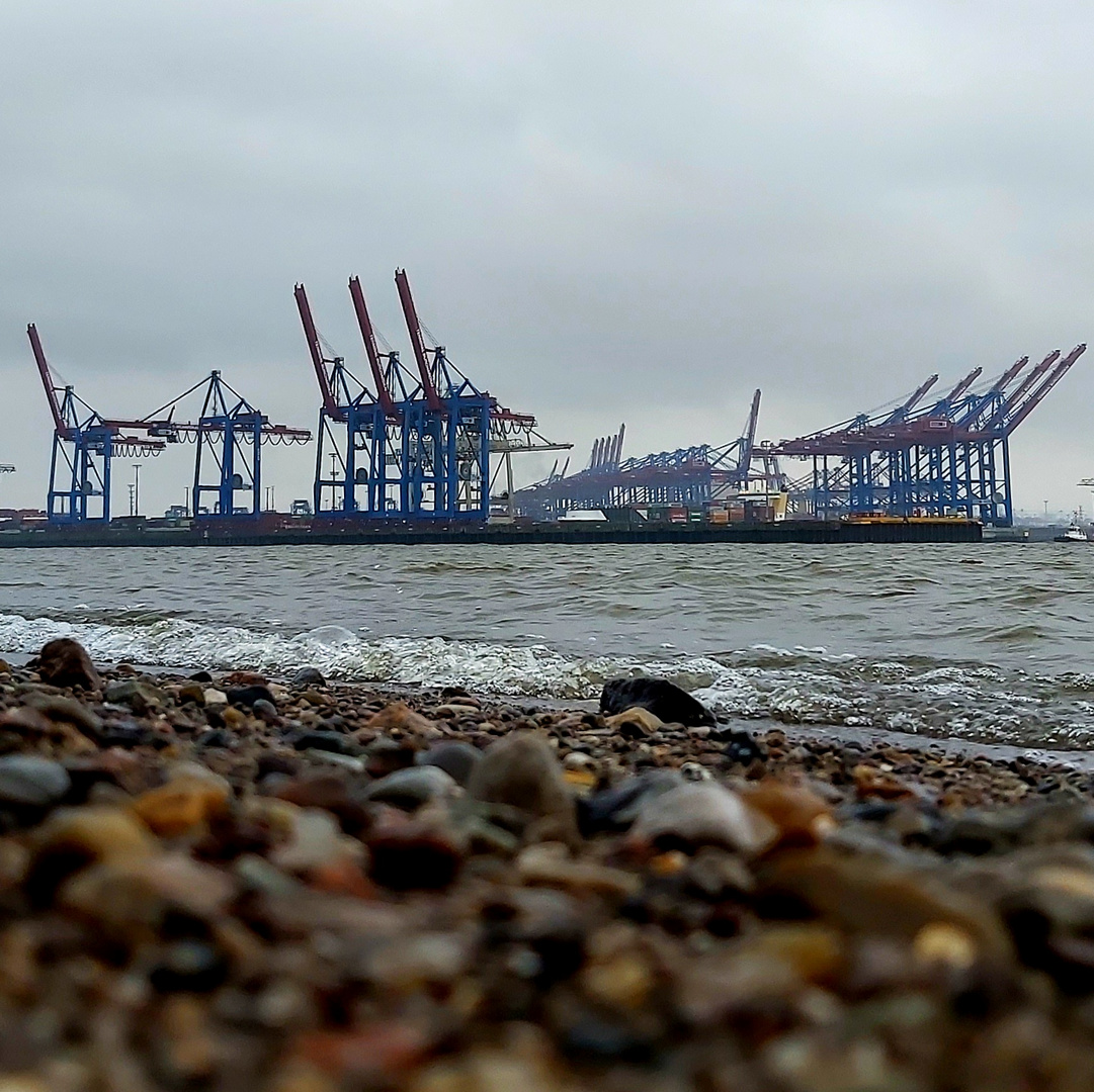 Hafengiraffen bei Schietwetter 