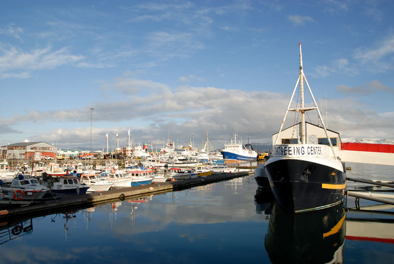 Hafenidylle in Reykjavik