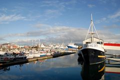 Hafenidylle in Reykjavik