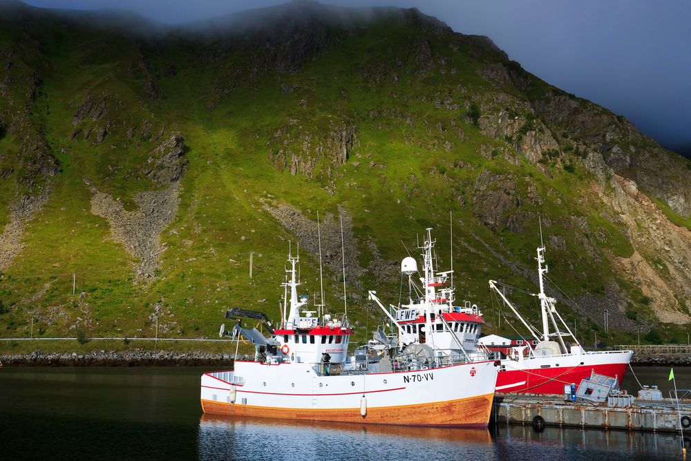 Hafenidylle von Leknes auf den Lofoten