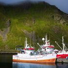 Hafenidylle von Leknes auf den Lofoten