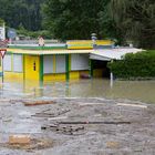 "Hafenkneipe" näher geht es nicht mehr !