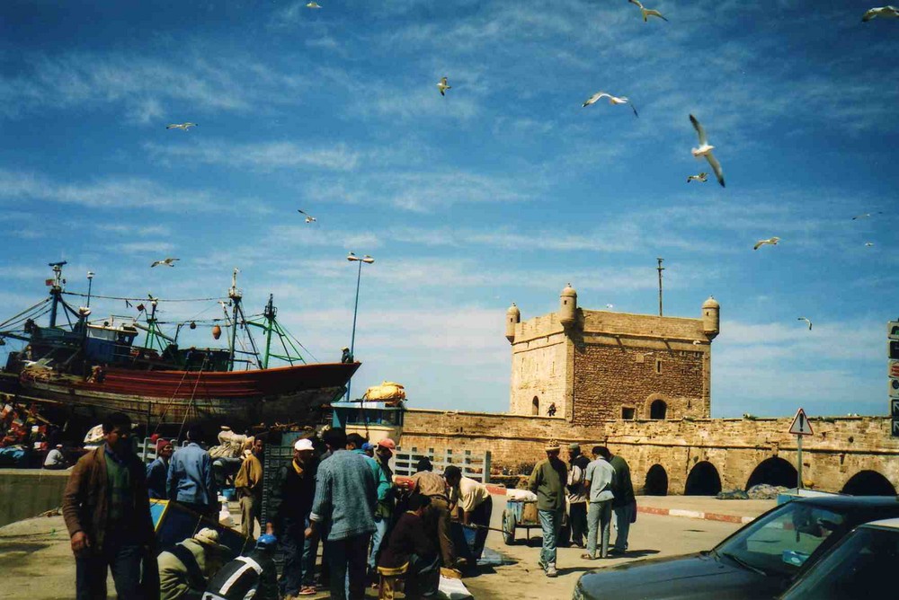 Hafenmole Essaouira