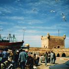 Hafenmole Essaouira