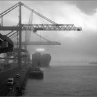 Hafen...Nebel...Hafen