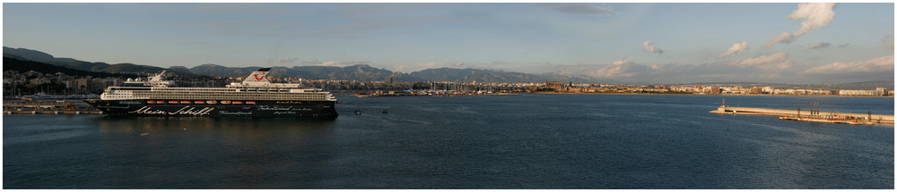 Hafenpanorama Palma