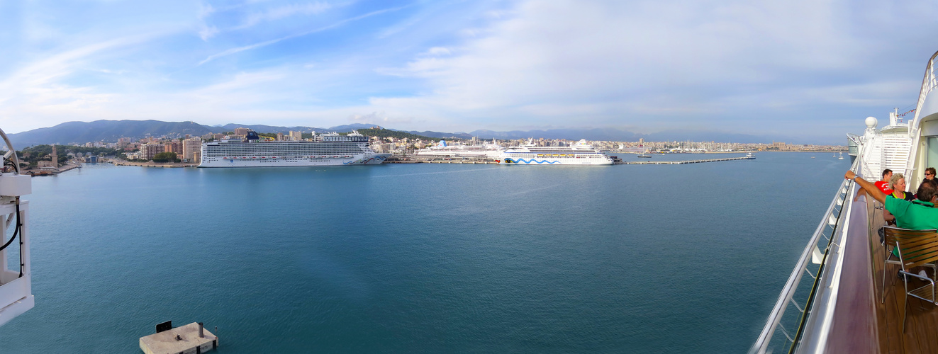 Hafenpanorama  Palma de Mallorca