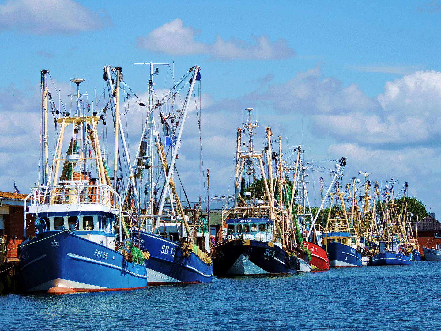 Hafenregatta Büsum