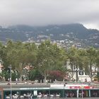 Hafenrestaurants in Funchal