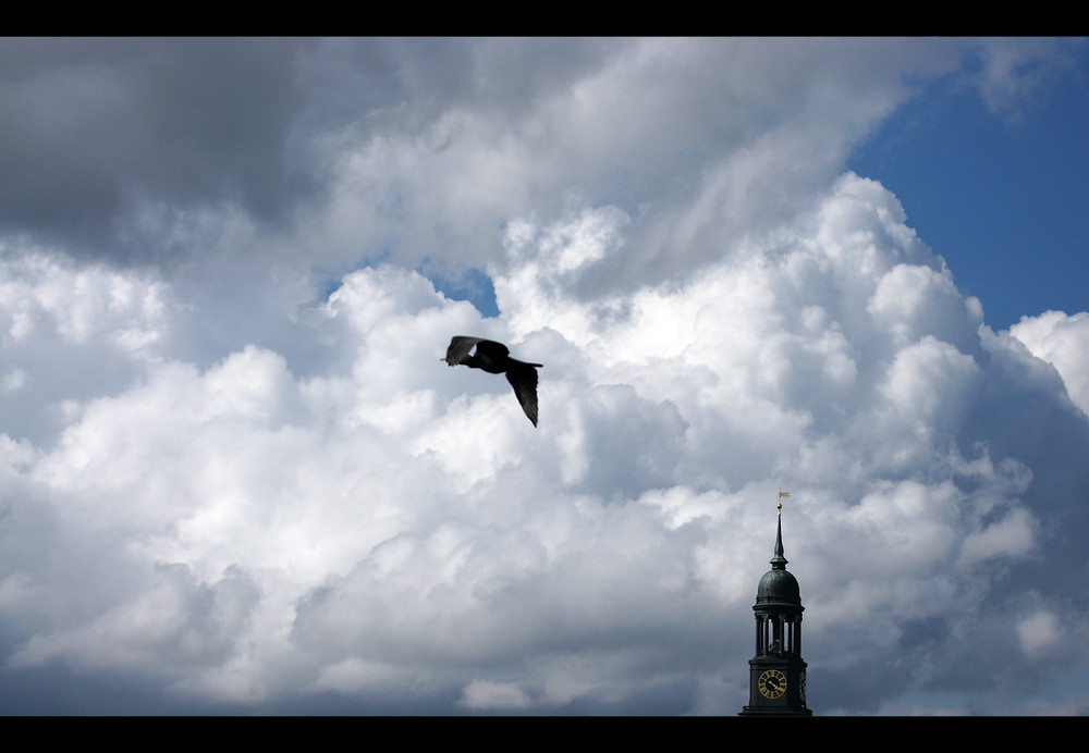 Hafenrundfahrt Hamburg * Michel mit Möve