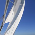 Hafenrundfahrt mit Segelboot im Hafen von Sydney 