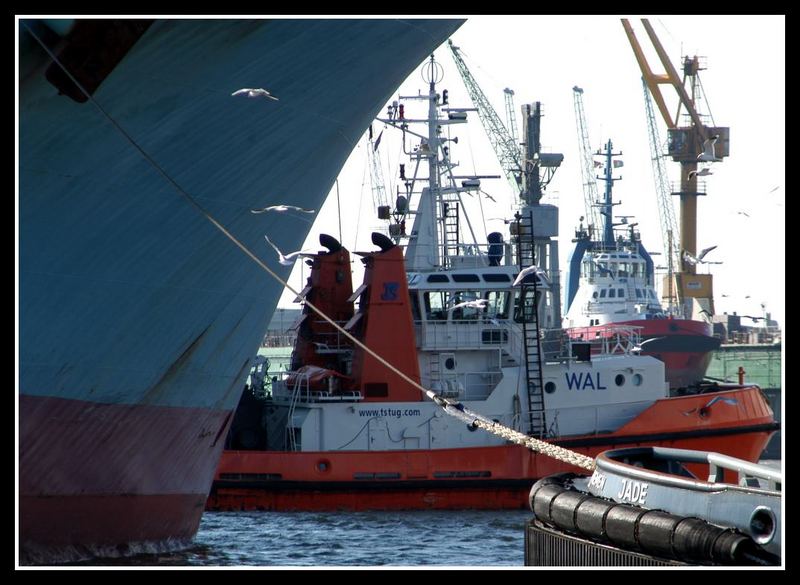 Hafenschlepper im Einsatz