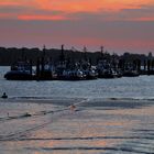 Hafenschlepper vor dem Altonaer Fischereihaven