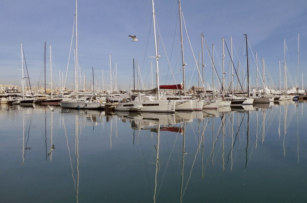 Hafenspiegel in Palma