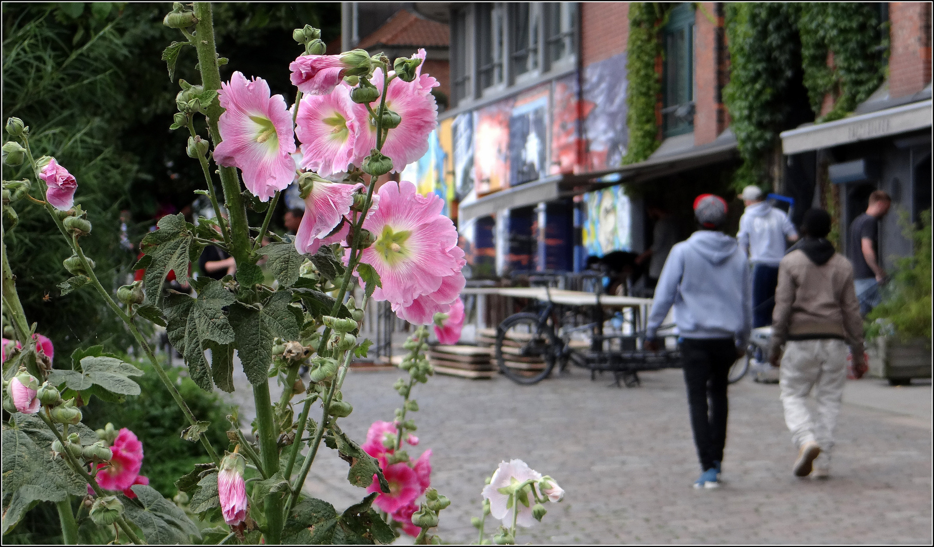 Hafenstraßenblumen....