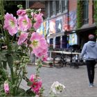 Hafenstraßenblumen....