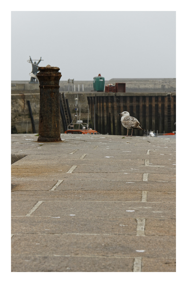 Hafenszenario Port en Bessin