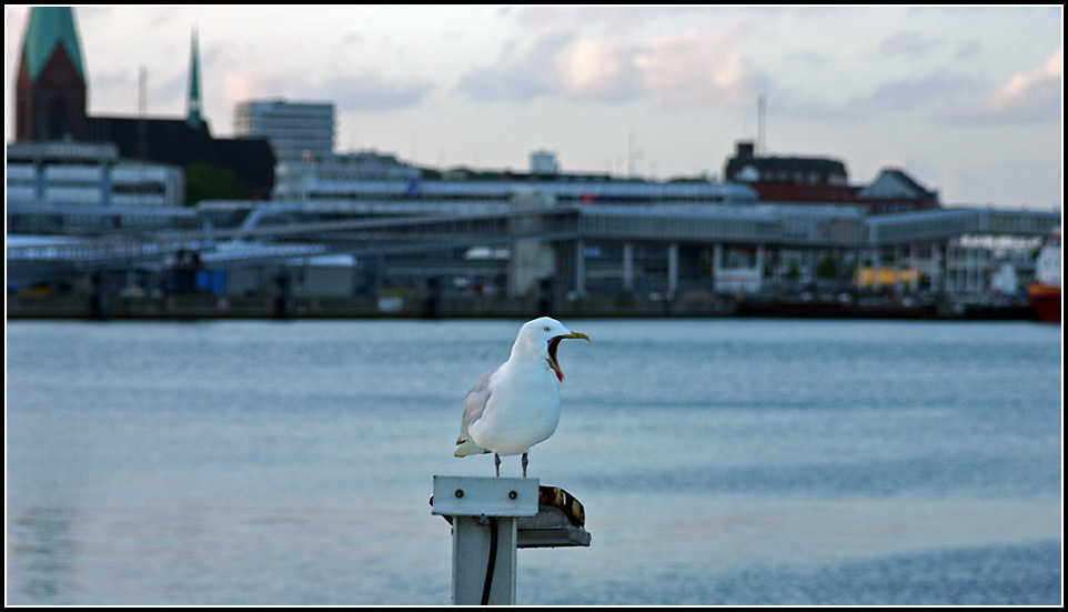 Hafenwächter