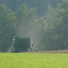 Hafer dreschen im Schwarzwald 1