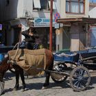  Hafervergaser in der Türkei